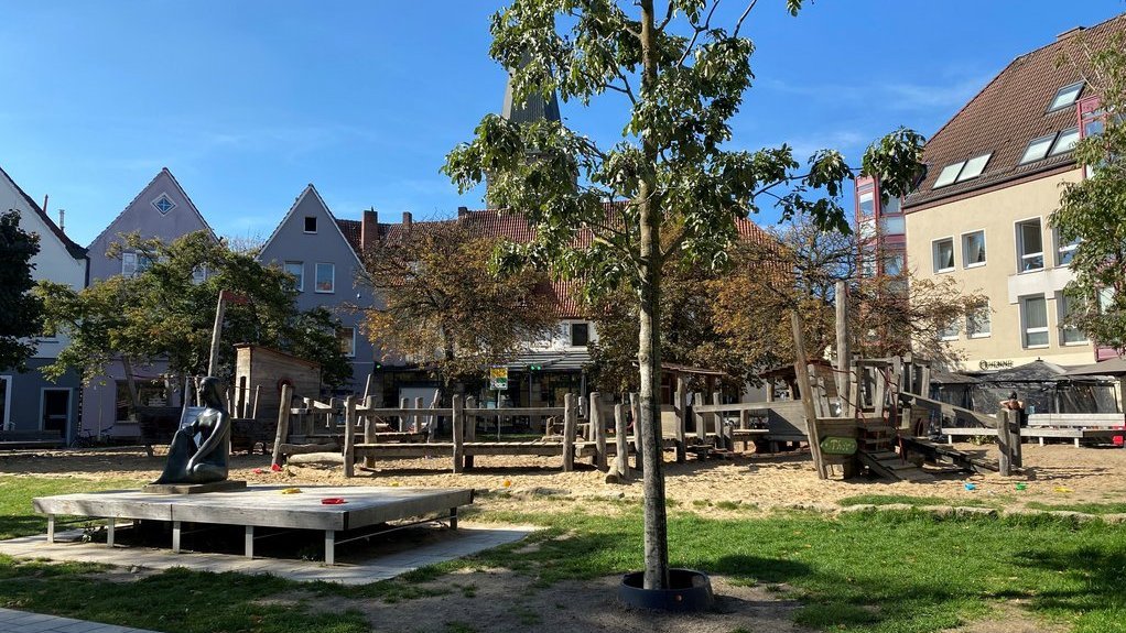 Stadtbäume auf dem Spielplatz am Adolf-Reichwein-Platz