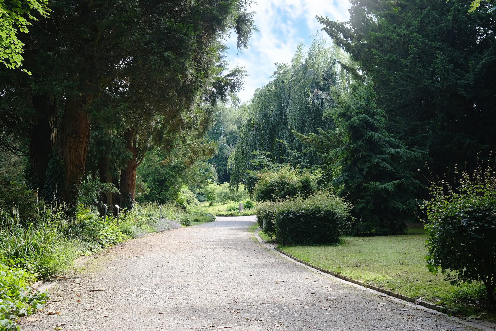Parkpflegewerk für den Bürgerpark (Sonnenhügel)