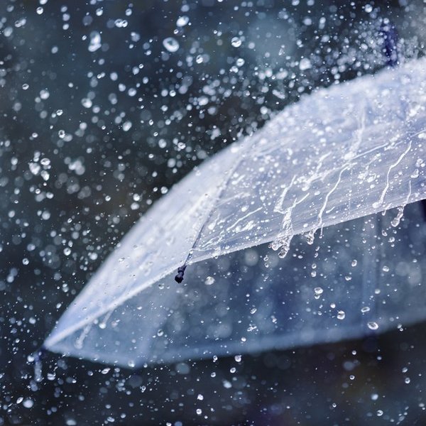 Starkregen fällt auf Regenschirm