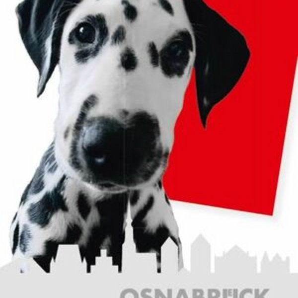 Collage mit einem Dalmatiner, rotem Gassibeutel, Stadtsilhouette und dem Schriftzug „Osnabrück bist Du“